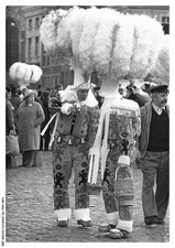 CAR-ADUP9-0566-BELGIQUE -