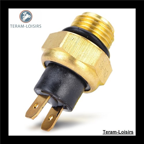 Sonde thermostat radiateur - sonde,