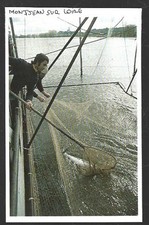 1983 -- PECHE AU CARRELET A MONTJEAN SUR LOIRE. 4C466