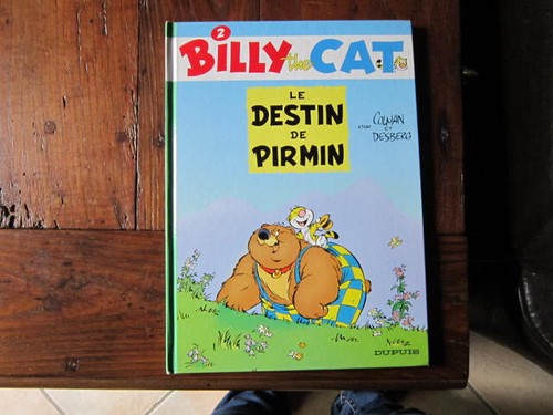 Billy the cat destin de - billy,