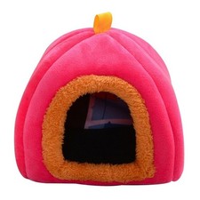 Écureuil Hamsters Souris