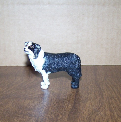 Border collie inch - border,