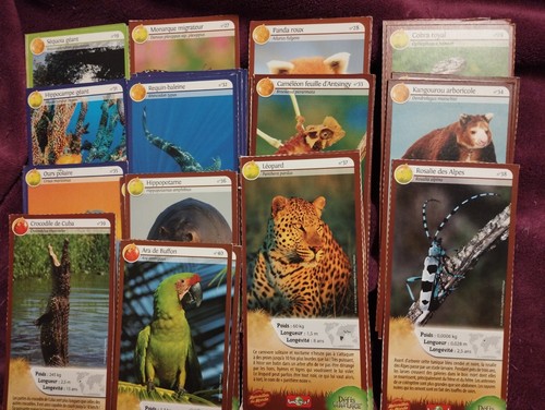 Carte merveilles monde - carte,