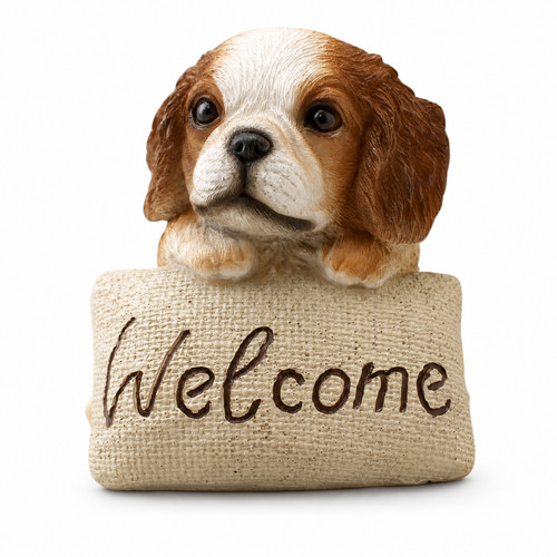 Cavalier king charles spaniel - king,