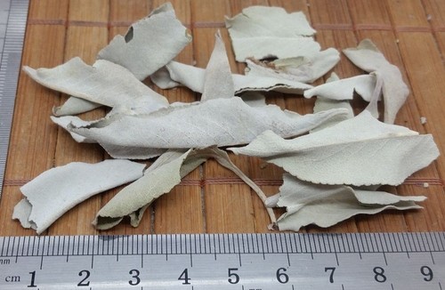 Sauge blanche naturelle - sauge,