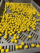 5 kg de bouillette ananas 14