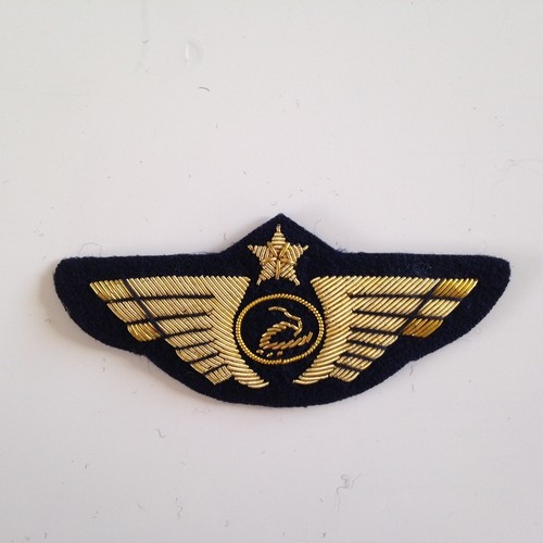 Aile pilote avion broderie - d,
