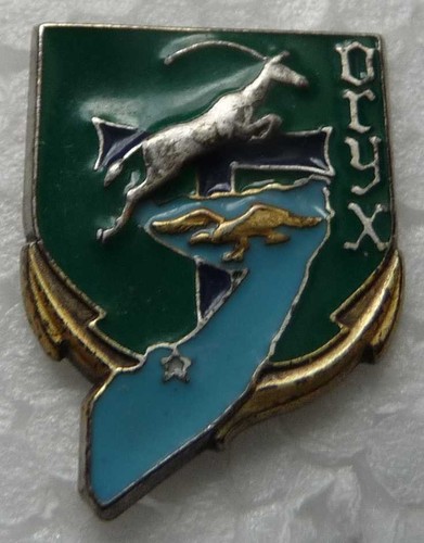 Pin militaire des - pin's,
