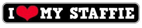 Love staffie autocollant - staffie,