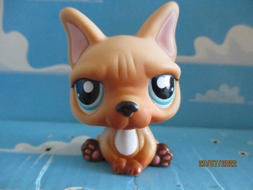 Petshop french bulldog - petshop,
