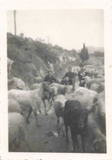 ANCIENNE PHOTOGRAPHIE SCENE