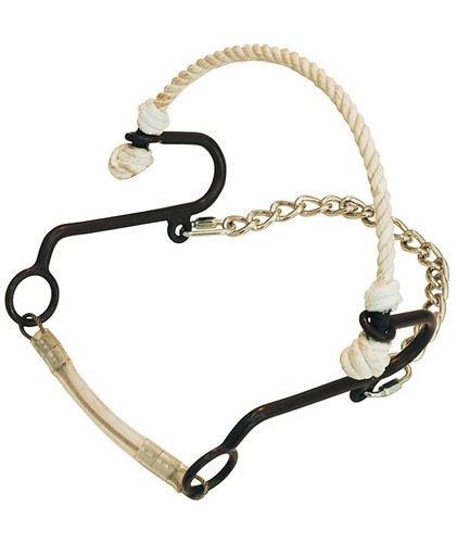 Short hackamore fer bruni - en,