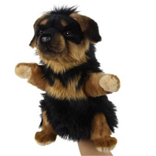 Hansa berger allemand chiot - hansa,
