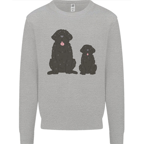 Sweatshirt jumper pour - sweatshirt, homme