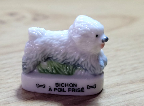 Fève bichon poil frisé - -, à