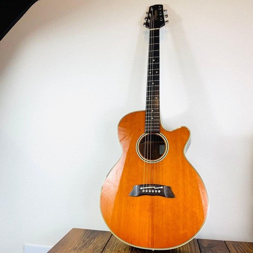 Guitare électrique acoustique