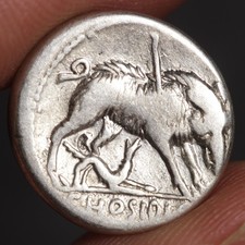 Hunted Boar Denarius Ancient Roman Republic Silver Coin 68BC Hosidius Geta