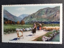 CP LACE EDGES ITALY WOMEN SHEPHERDS HERD SHEEP GOATS - 40988