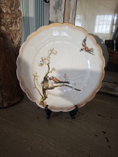 Assiette oiseaux en - au,