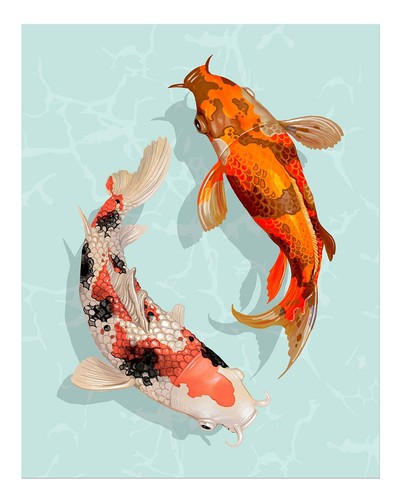 Affiche art mural - d'art, koi
