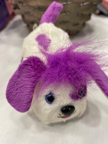 Zhu pets - , hamster