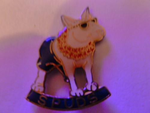 Pin chien jack - ,