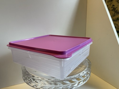 New tupperware snack and - x,