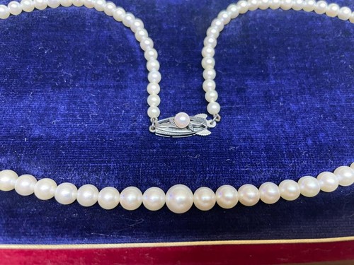 Authentic mikimoto graduated - mikimoto,