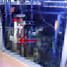 2x Niveau ✔ Étiquette ✔ Récifal ✔ Filterbecken ✔ Technikbecken ✔