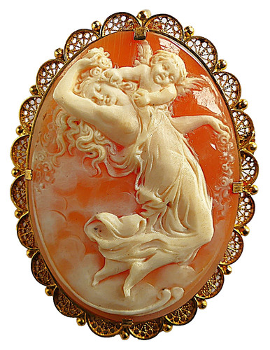 Camee coquillage broche - coquillage,