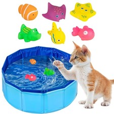 Piscine pour Chat, Pataugeoire