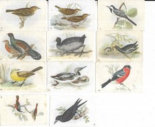 Lot of 11 Chromos on birds, offered by GROSJEAN cheese dairies in Lons