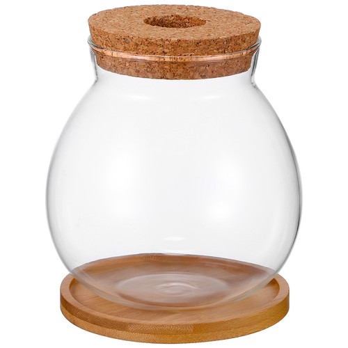 Petit aquarium pour - , poissons