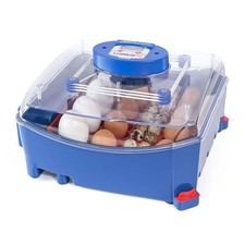 Borotto Lumia 16 incubateur d’œufs couveuse 16/64 automatique💙🥚🐣