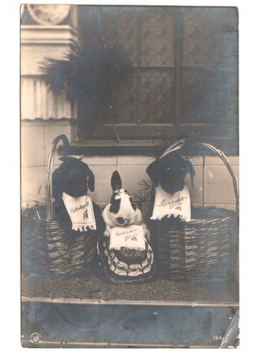 1909 antique carte postale - 1909,