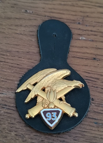 Insigne ram régiment - 93°,
