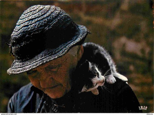Carte postale animaux - carte,