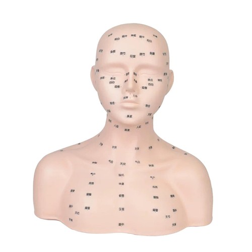 Tête mannequin compacte - tête, de