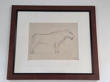 Dessin ancien au crayon lionne