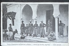 🦬 Carte postale - Postcard