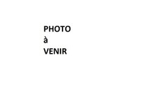 PLAYMOBIL (B756) WESTERN - Fixation Harnais Timon d&#039;Attelage Chariot