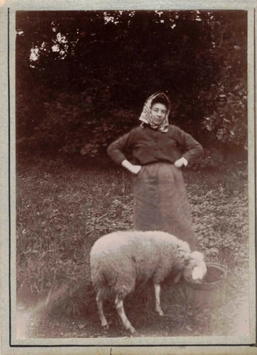 France paysanne mouton - paysanne, et