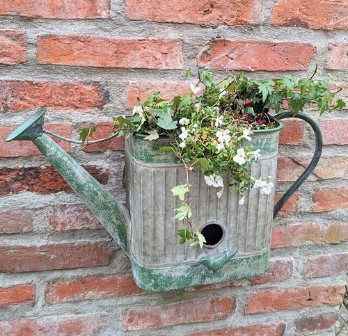 Mur nichoir oiseaux pot - mur,
