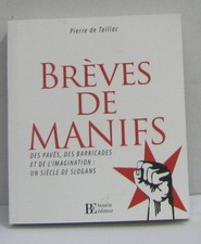 Brèves de manifs - Des pavés