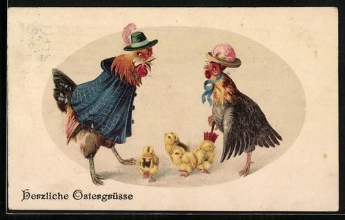 Carte postale coq - , se
