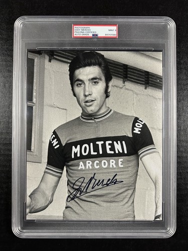Eddy merckx autographed auto - merckx,
