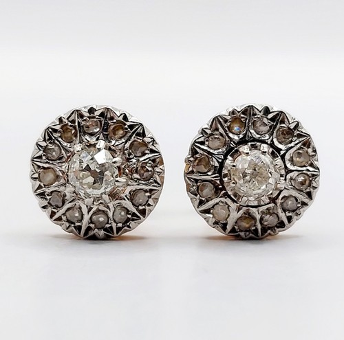 Puces oreilles marguerite - puces, d'oreilles