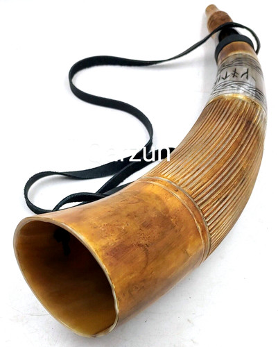Véritable corne taureau - véritable,