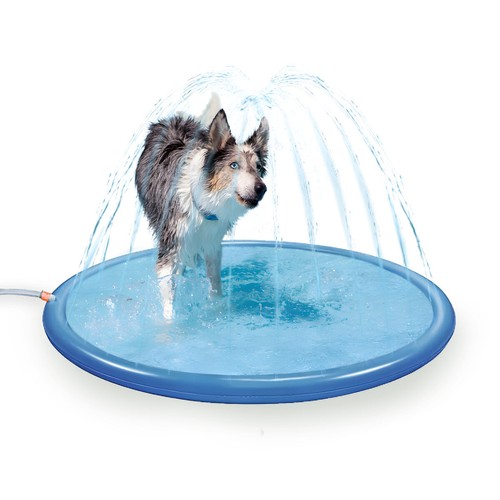 Coolpets piscine pour chien - piscine,
