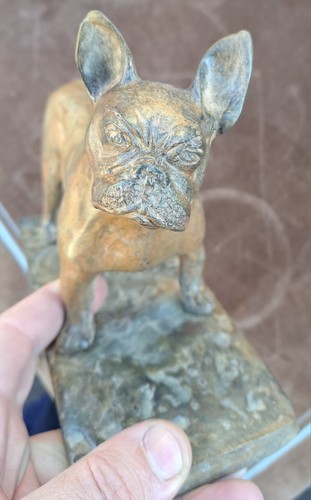 Promo french bulldog - ,